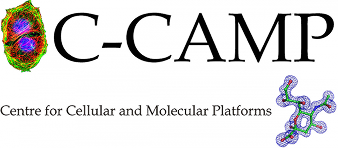 C-Camp_logo_wo_back 1